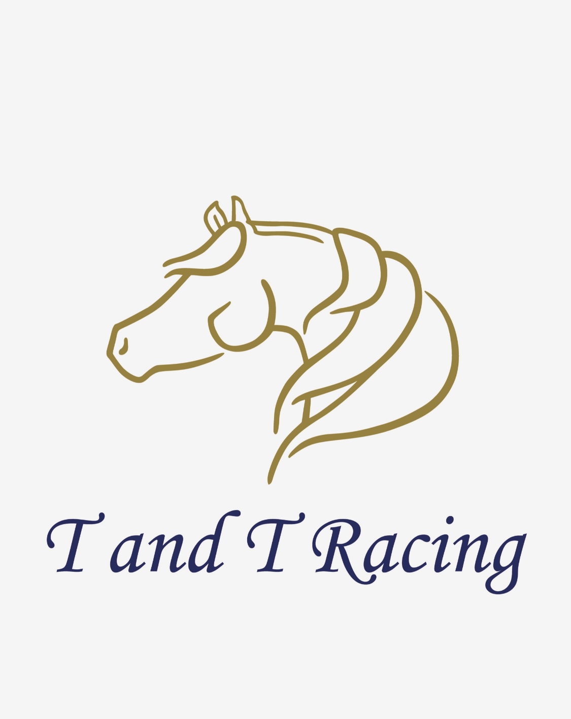 T and T Racing — gold horse logo