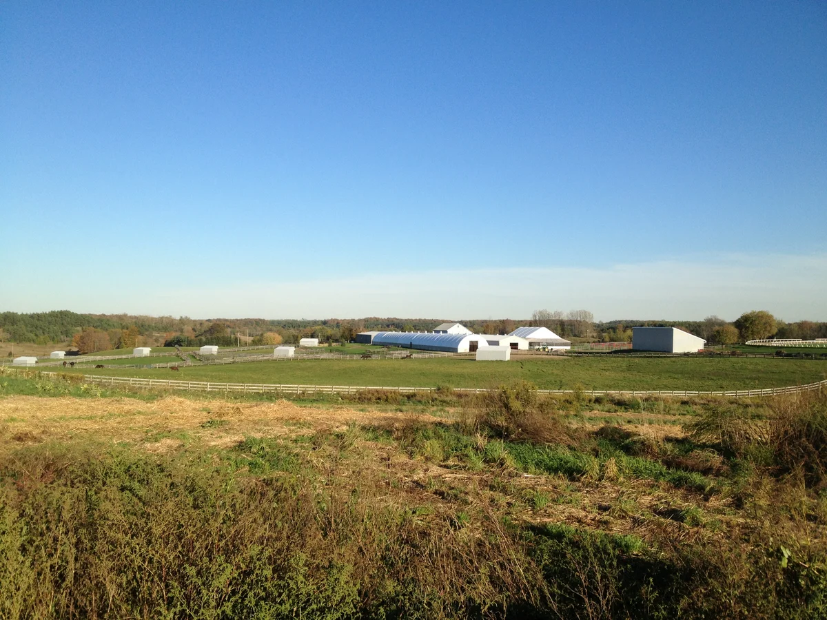 A wide view of paddocks and training-centre buildings