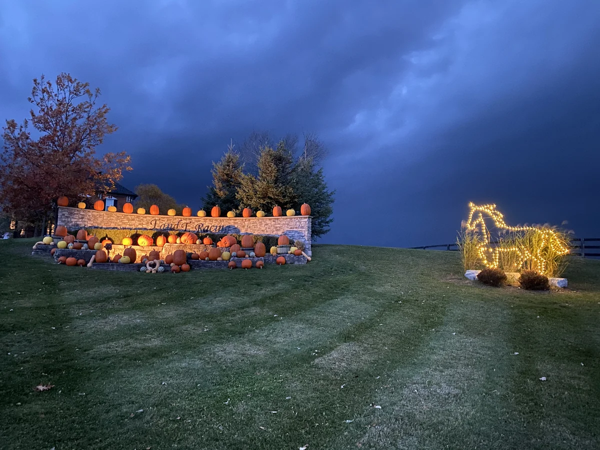 The T and T Racing entrance decorated with pumpkins and an illuminated horse